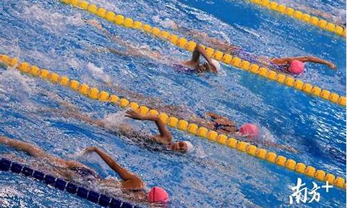 游泳体育赛事资料怎么写_游泳体育赛事资料怎么写的